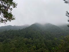 -大奇山国家森林公园