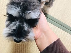 -仰生如卉推拿养生馆(酒仙桥店)