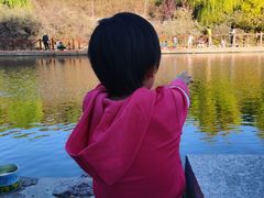 -五龙城郊森林公园