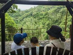 -广州市帽峰山景区