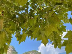 -十渡东湖港风景区
