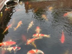 -开封府