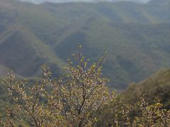 -灵山