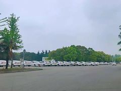 -胜华驾校·小猫学车(银都店)