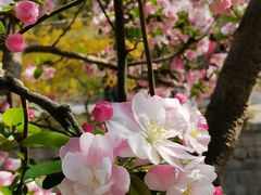 -元大都城垣遗址公园