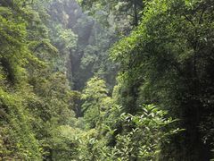 -青城山