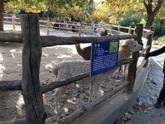 -西安秦岭野生动物园