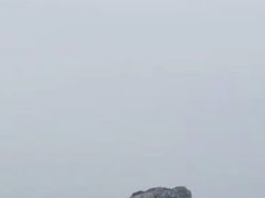 -金沙滩度假村