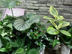 -豆豆花艺(新光天地店)