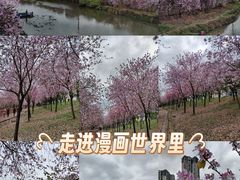 -广东花都湖国家湿地公园