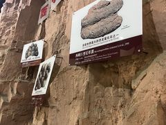 -中国西峡恐龙遗迹园