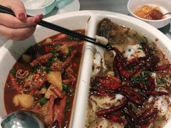 -姚姚酸菜鱼·金戈戈香港豉油鸡(喜荟城联名店)