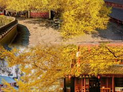 -大慈岩风景区