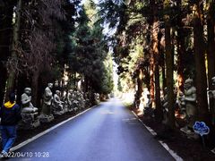 -武陵山森林公园