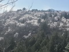 -白水寺森林公园