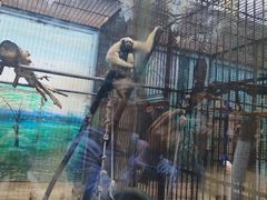 -昆明动物园