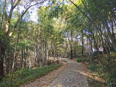 -西湖风景区十里琅珰-五云山