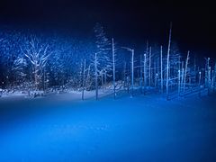 -青池
