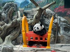 -武汉动物园