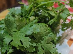 -草原塞蛮羊火锅城(港湾店)