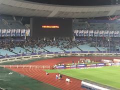 -南京奥林匹克体育中心-体育馆