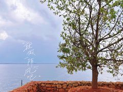 -大理洱海
