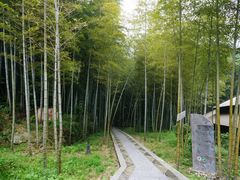 -石台牯牛降景区