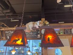 -乡田小墅(展览馆路JK FUN商城店)