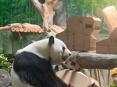 -灵玲国际马戏城