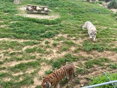 -无锡动物园·太湖欢乐园