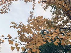 -东吉馆韩式餐厅(八经街总店)