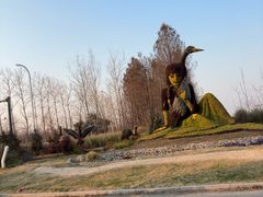 -盐城丹顶鹤湿地生态旅游区