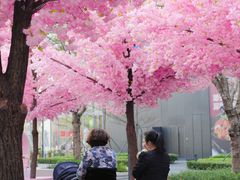 -东莞松山湖万象汇