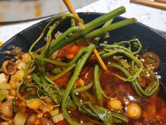 南瓜藤-钢管厂五区小郡肝火锅串串香(总店)