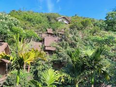 -海南槟榔谷黎苗文化旅游区