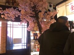 -金龙咖喱