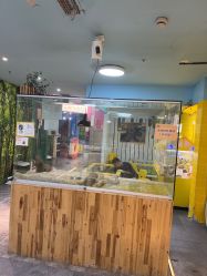 点击看大图 -神奇动物撸宠馆·羊驼·小浣熊·异宠(豫园店)