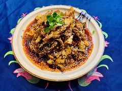 -院8里·少城记忆老川菜(宽窄巷子店)