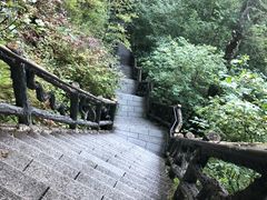 -汤旺河林海奇石景区