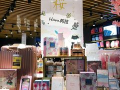 -九木杂物社(东方宝泰店)