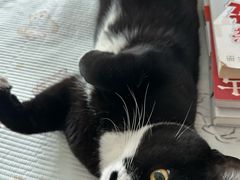 -美联众合动物医院·24h京西诊疗中心