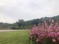 -南北湖风景区