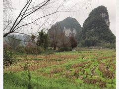 -靖西鹅泉风景区