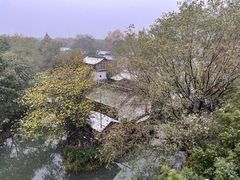 -西溪国家湿地公园