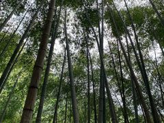 -黄山翡翠谷景区