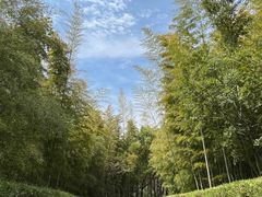 -天目湖涵田度假村
