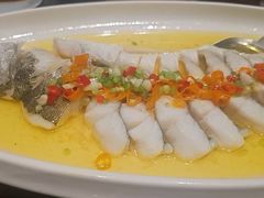 金汤清蒸海龙斑-九福楼大酒店
