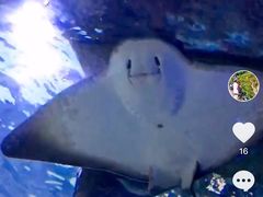 -凯莉-塔尔敦海洋生物水族馆