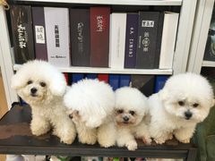 -伽利略剧本探案馆(国贸店)