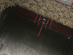 -水绘园